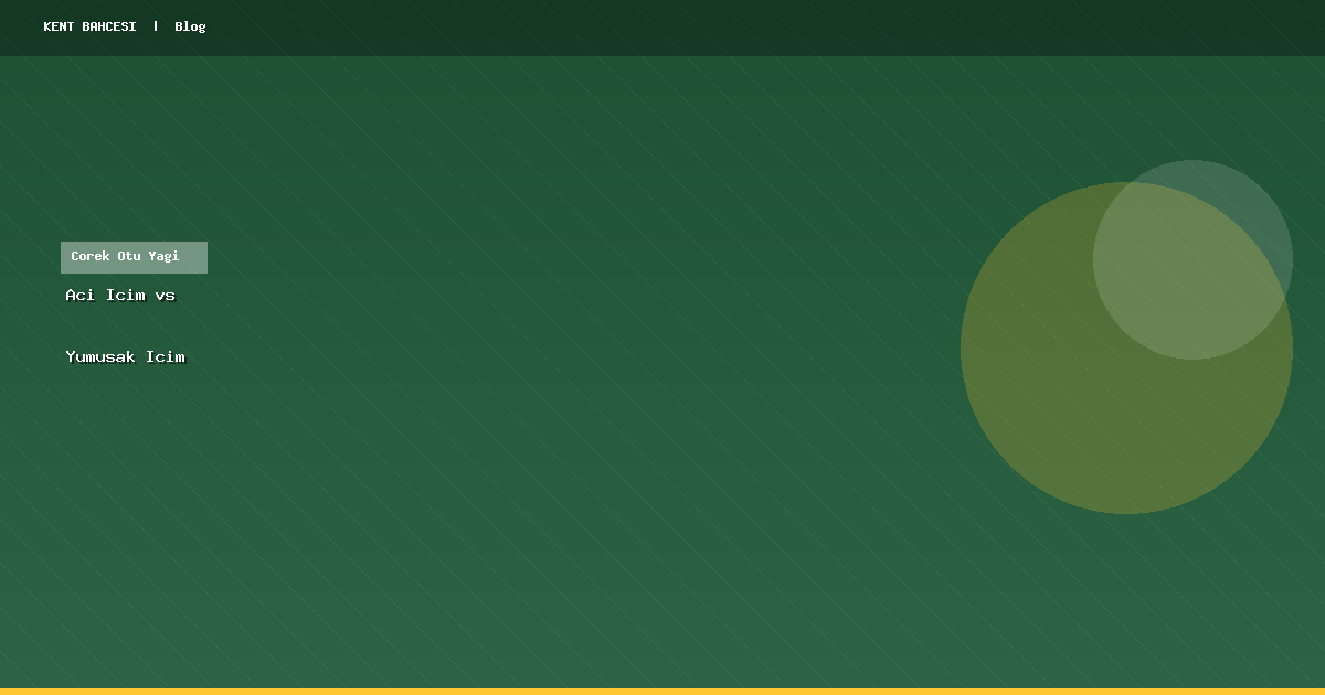 Acı İçim ve Yumuşak İçim Çörek Otu Yağı Farkı: Hangisi Size Uygun?