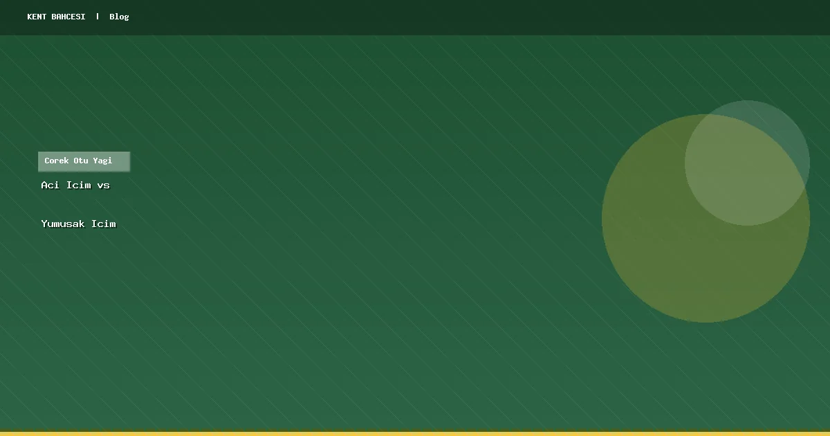 Acı İçim ve Yumuşak İçim Çörek Otu Yağı Farkı: Hangisi Size Uygun?