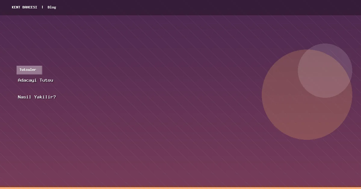 Adaçayı Tütsü Nasıl Yakılır? Güvenli Kullanım Rehberi