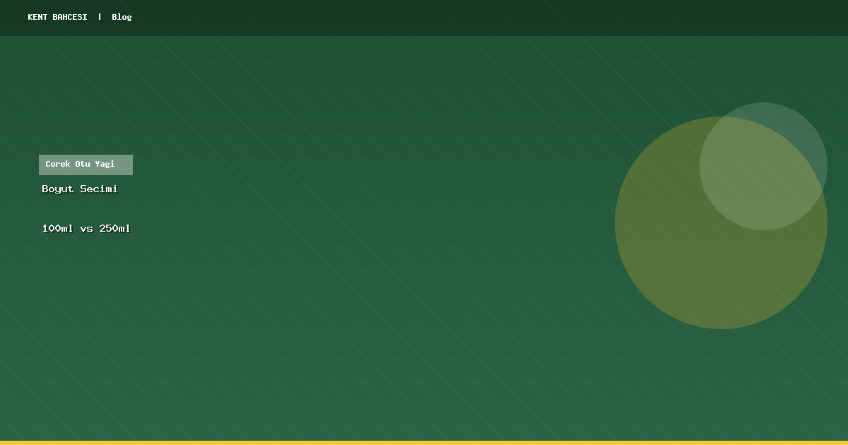 Çörek Otu Yağı Boyut Seçimi: 100 ml mi 250 ml mi?