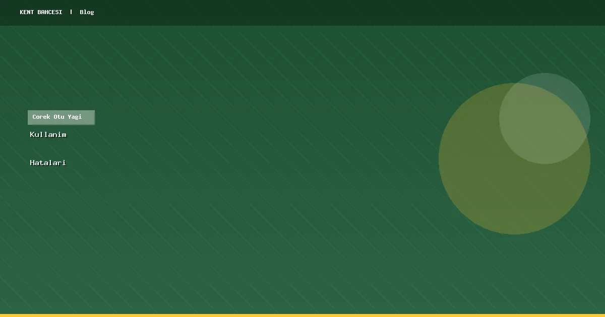 Çörek Otu Yağı Kullanımında Sık Yapılan 7 Hata