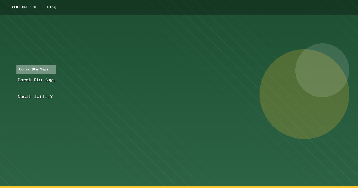 Çörek Otu Yağı Nasıl İçilir? Kullanım Şekilleri ve Öneriler