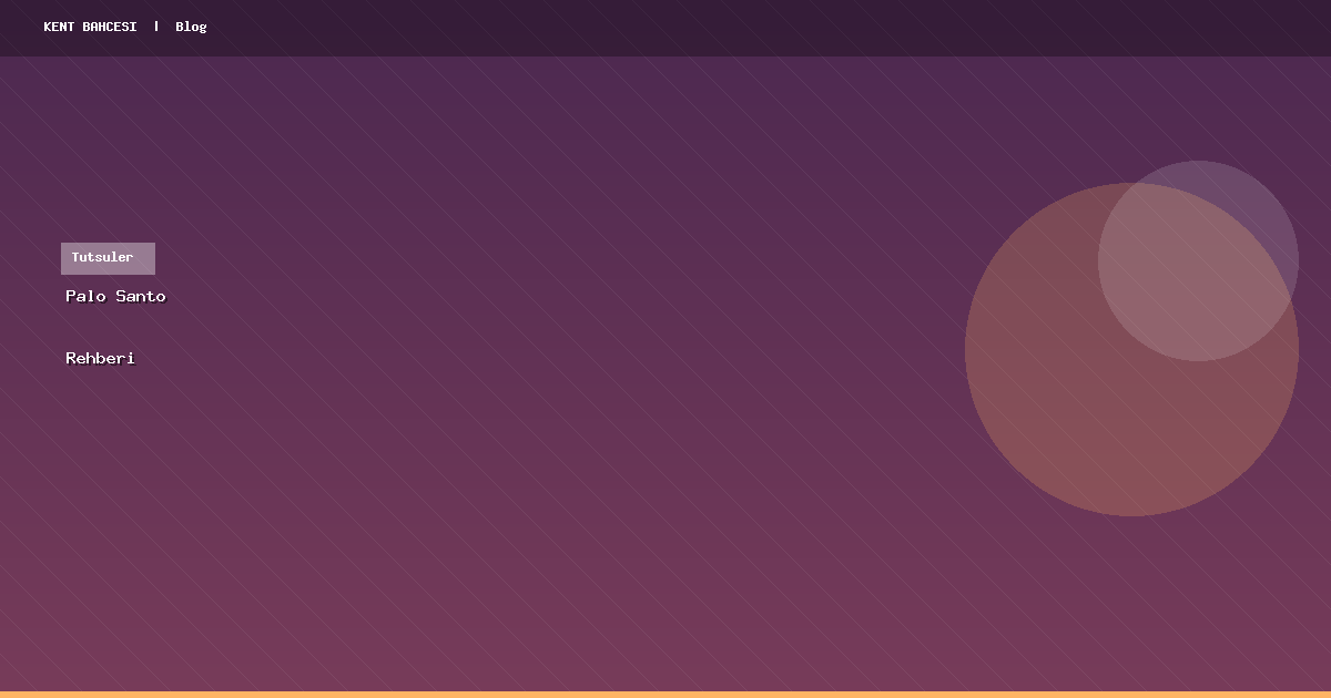 Palo Santo Nedir, Nasıl Kullanılır? Kapsamlı Rehber