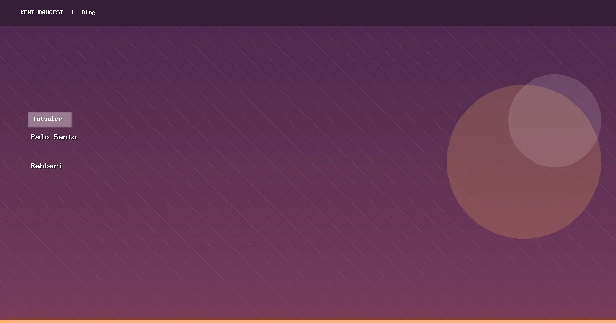 Palo Santo Nedir, Nasıl Kullanılır? Kapsamlı Rehber