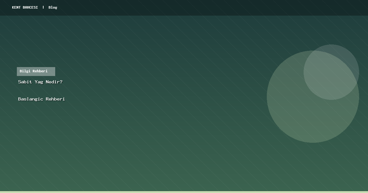 Sabit Yağ Nedir? Yeni Başlayanlar İçin Rehber