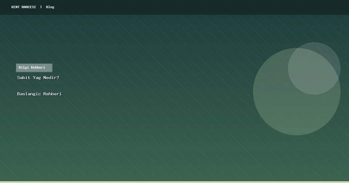 Sabit Yağ Nedir? Yeni Başlayanlar İçin Rehber