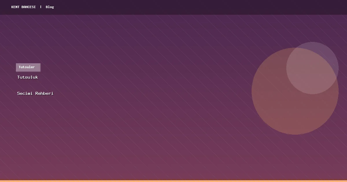 Tütsülük Seçimi Rehberi: Seramik, Kabuk ve Metal