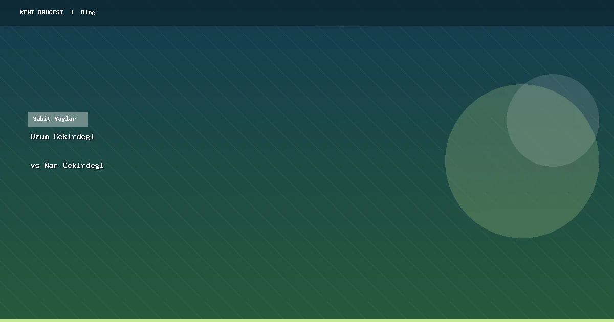 Üzüm Çekirdeği Yağı mı Nar Çekirdeği Yağı mı?