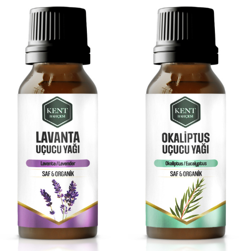 2 Li Uçucu Yağ Seti Lavanta + Okaliptüs 10 ml