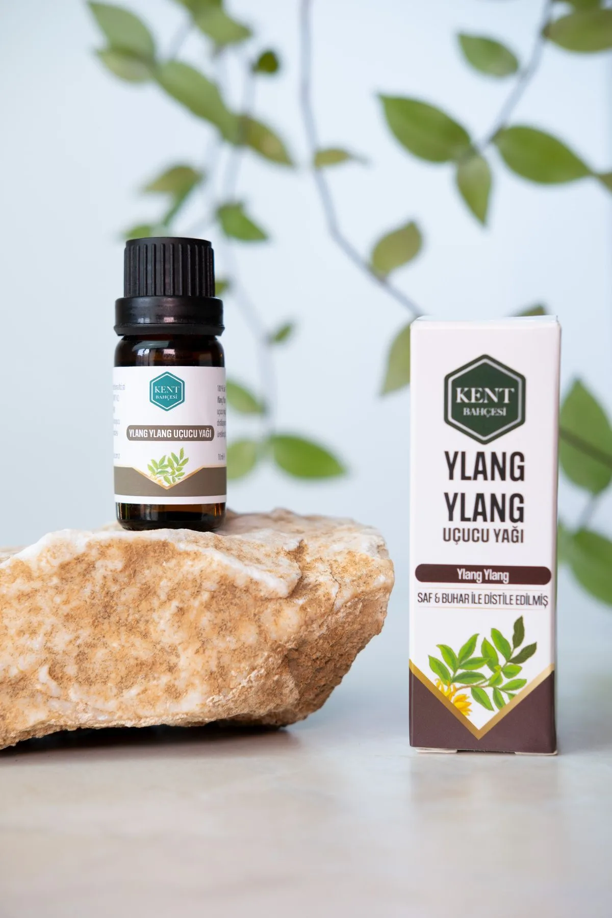 4'lü Uçucu Yağ Seti Ardıç Murt Ylang Ylang Defne 10 ml