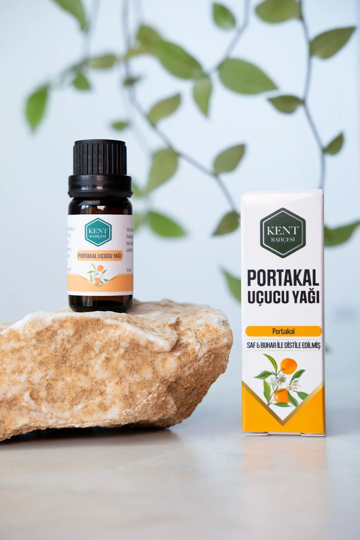 4'lü Uçucu Yağ Seti — Kekik, Çay Ağacı, Portakal, Mersin 10 ml