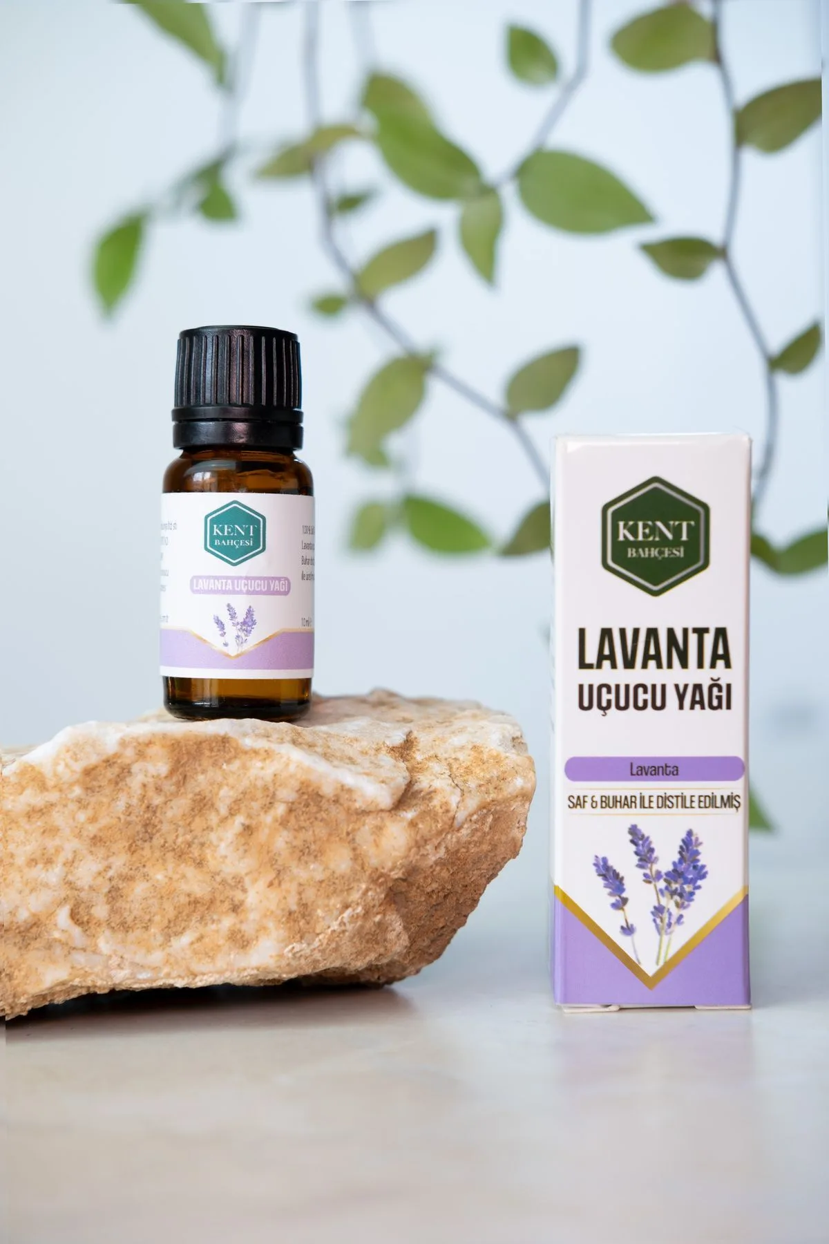 4'lü Uçucu Yağ Seti — Nane, Lavanta, Defne, Sedir 10 ml