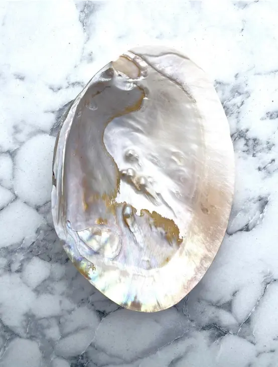 İstiridye Tütsülük İncili — Doğal Kabuk, Dekoratif Tütsülük